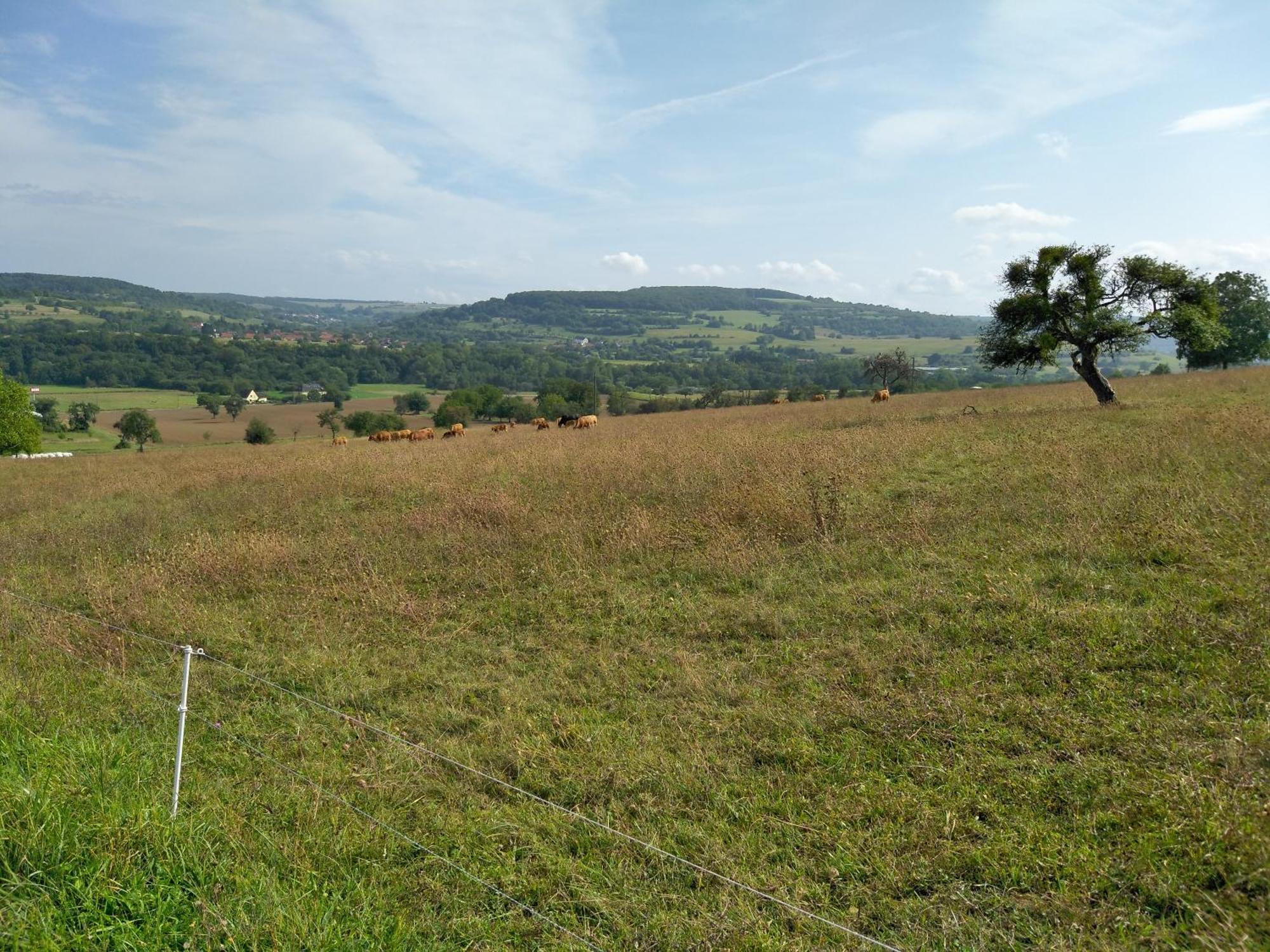 Camping Walsheim Gersheim Bagian luar foto